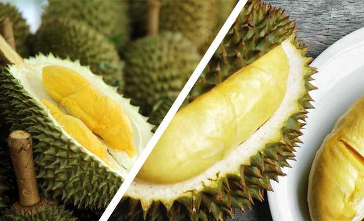 Makan durian banyak kesan Selamatkah makan
