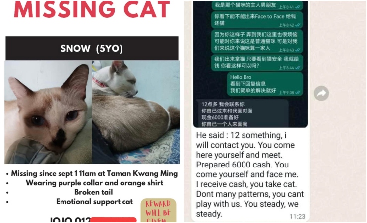 Kucing diculik, pemilik diugut bayar wang tebusan RM6,000