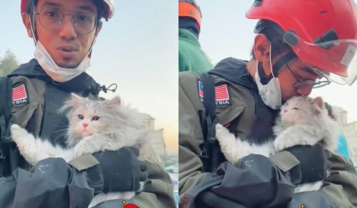 anggota penyelamat jumpa kucing comel