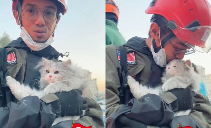 anggota penyelamat jumpa kucing comel
