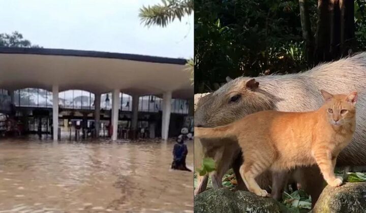 oyen zoo negara banjir
